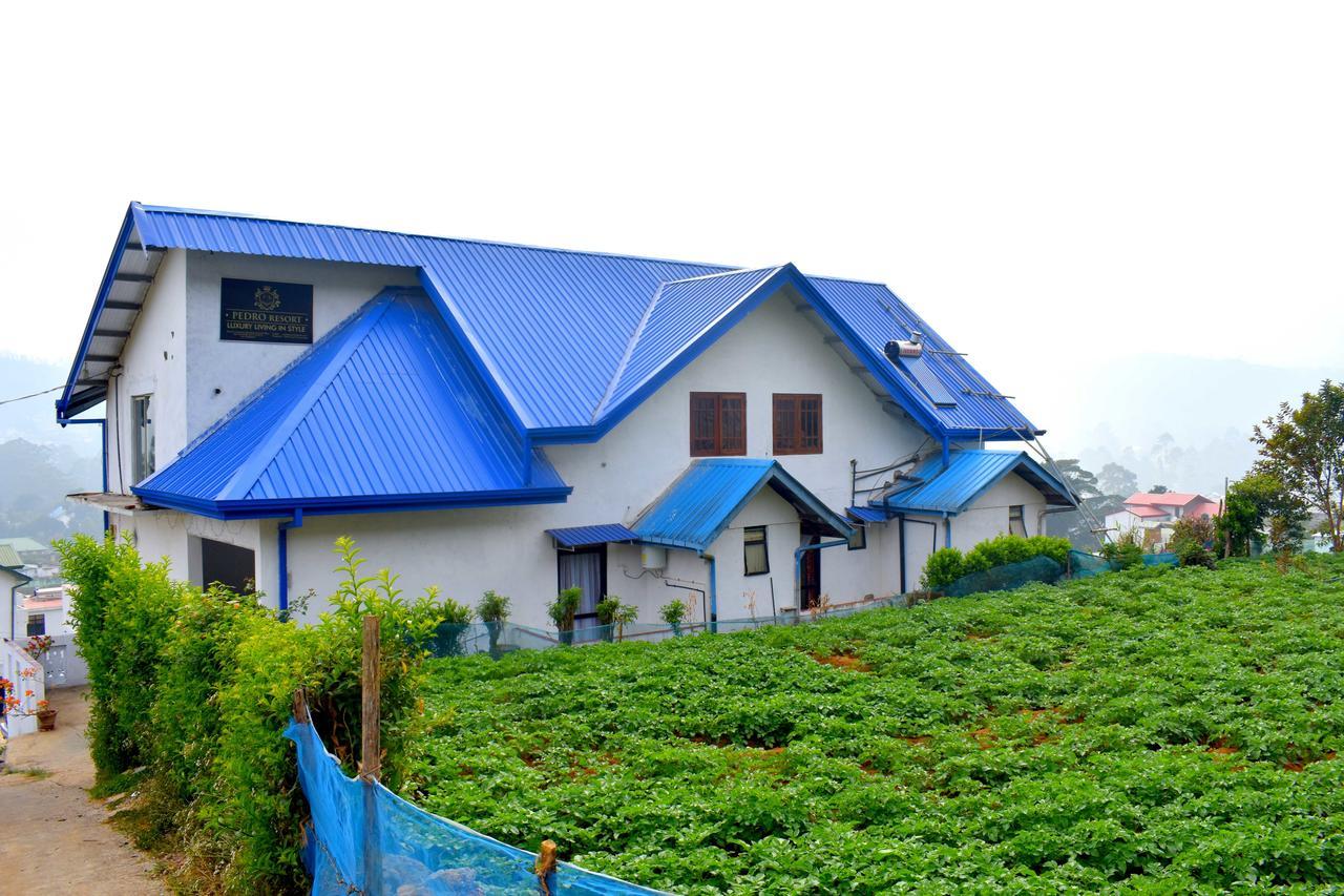 Yoho Pedro Resort Nuwara Eliya Exteriör bild